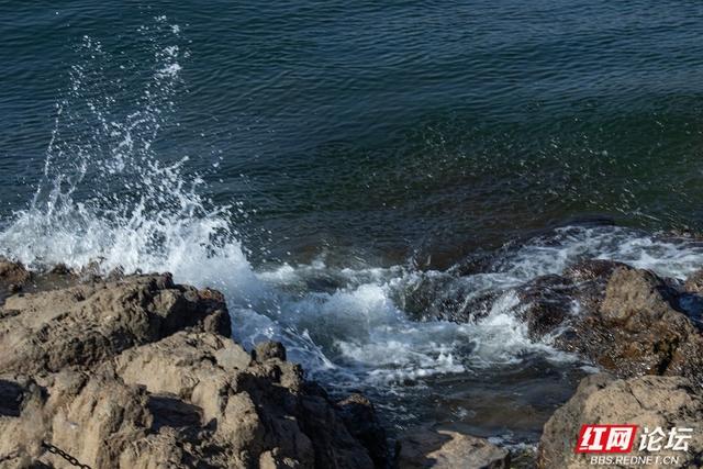 百米江滩何以聚人气？探秘株洲网红地标“大石围”