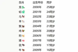 属于00后的年龄表还是来了图片