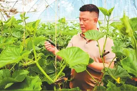 【新时代陇原先锋】念好特色产业经 当好致富带头人 ——记白银市靖远县北湾镇新坪村党总支书记、村委会主任陈永红图片