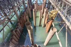 明年通车！成渝间首条双向8车道高速来了图片