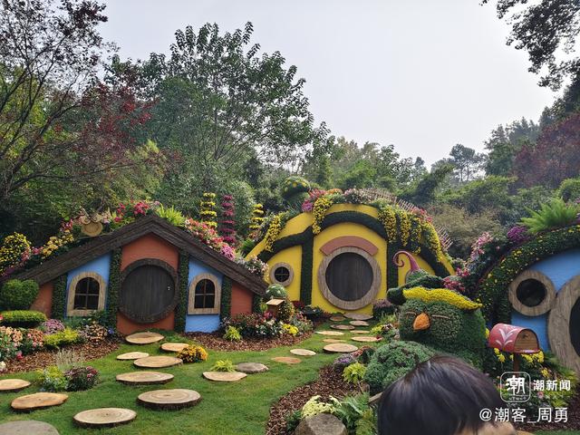 晚潮｜秋丛绕舍似陶家