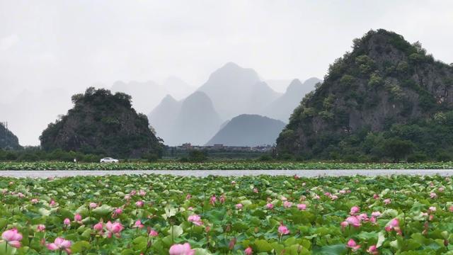 巴西博主邂逅普者黑：美景动人 真情更暖