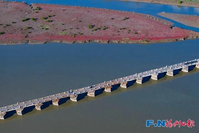 快来打卡！福州惊现“红海”奇观