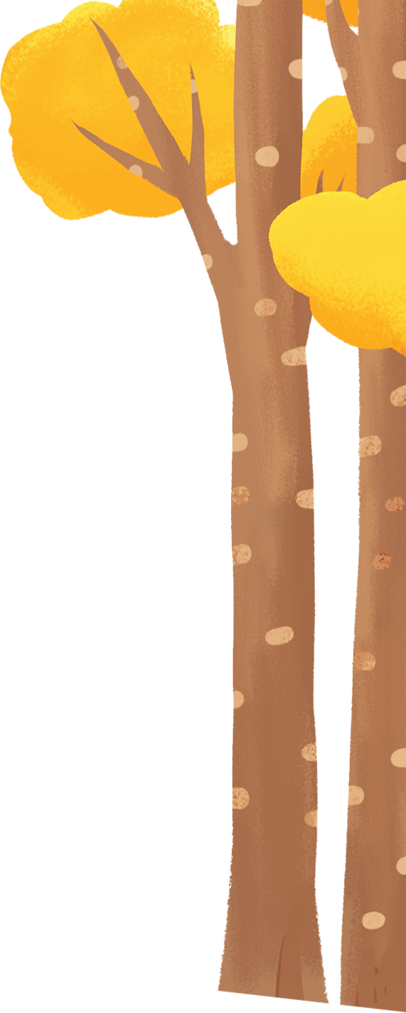 秋假去哪儿?来仪陇可以这样玩→