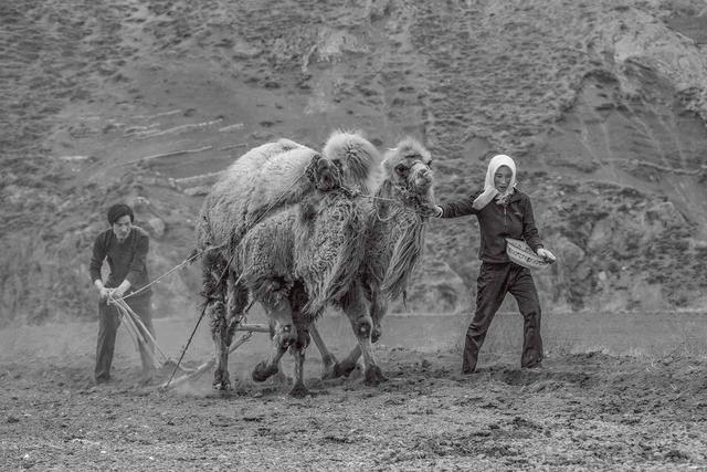 西海固：汗土上的新生