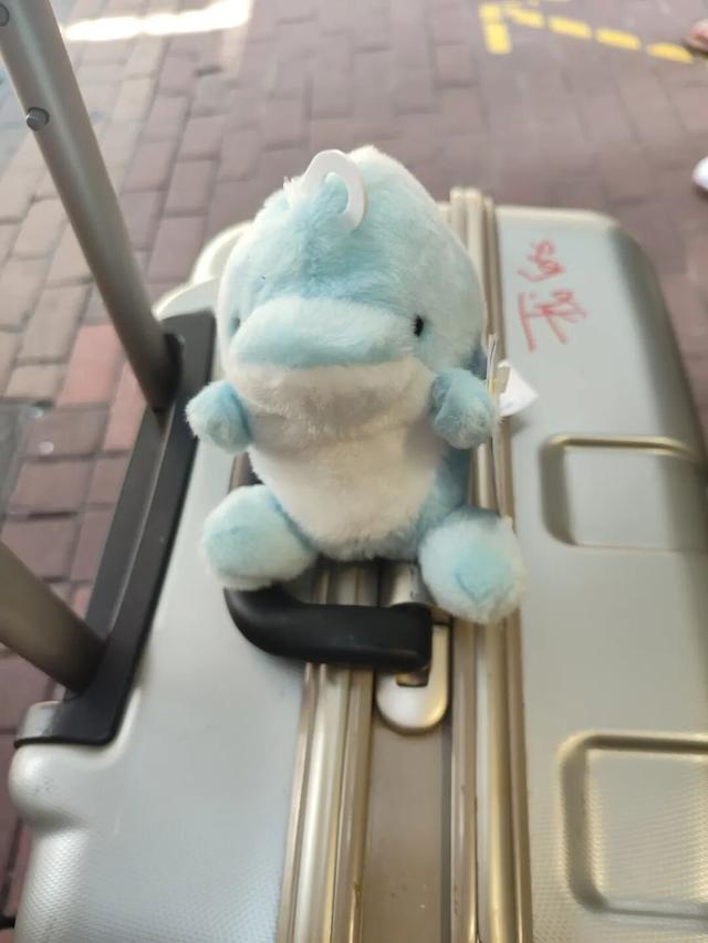 在香港又买了一大堆书，阿婆还送我一只拉杆箱 | 应奇