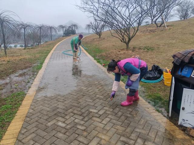 开园倒计时！贵州梅园梅香渐浓，静候君至