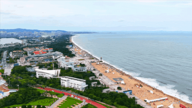 日照海边！“下饺子”模式！今夏顶流避暑地！