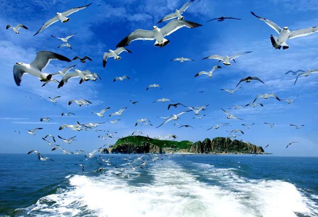 “2026中国100亲子景点榜”发布，荣成一景区上榜