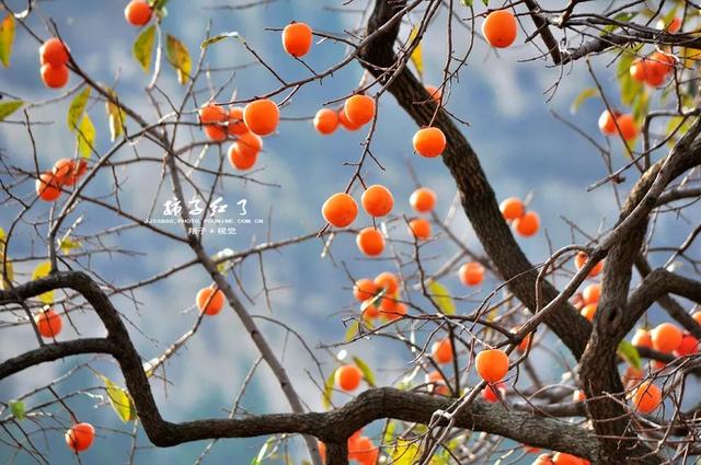 藏在鄂北的斑斓仙境，等待与你邂逅这个秋天！