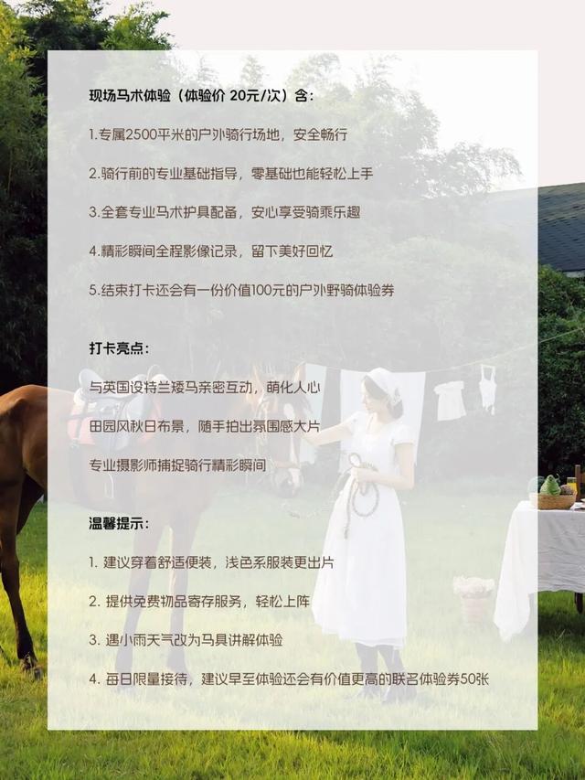 南法乡野秋日市集即将启幕
