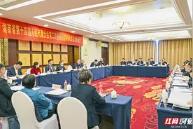 张家界代表团全团建议支持张家界荷花国际机场二期扩建图片