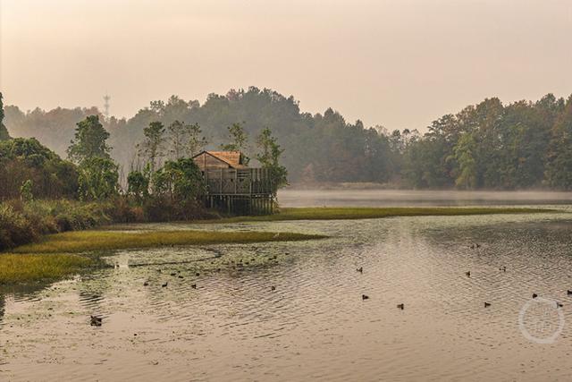 重庆梁平：冬景美如画