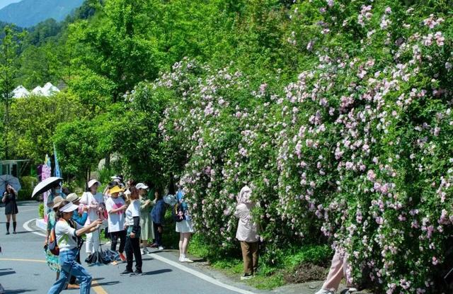 肥肠粉必须配军屯锅魁·····这对CP太好磕