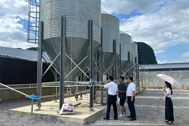 普惠助力，“猪事”顺利图片