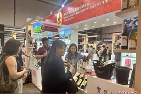宁夏贺兰山东麓产区葡萄酒亮相第十六届香港国际美酒展图片