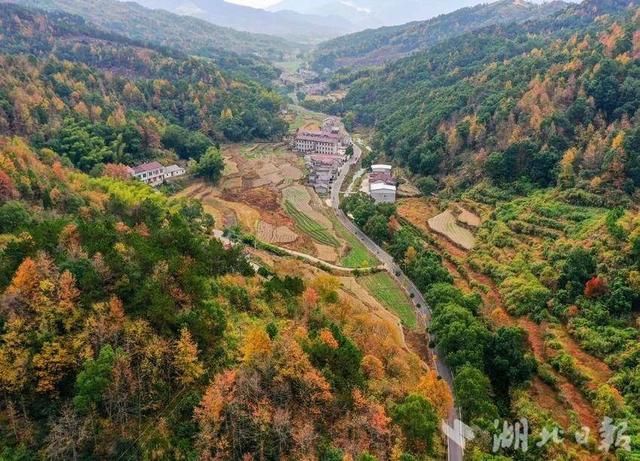 蕲春农村公路的秋藏着田园风光和丰收喜悦