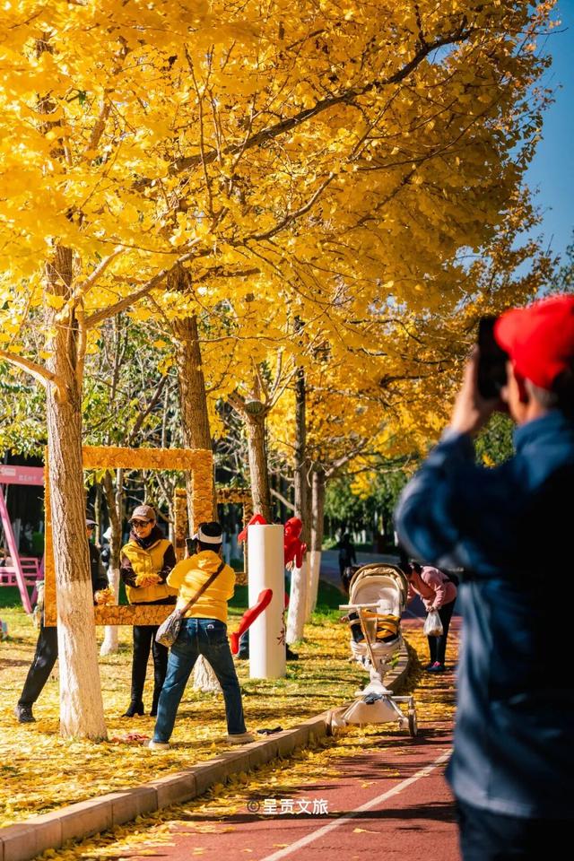 冬日呈贡洛龙公园，一天看尽四时之景