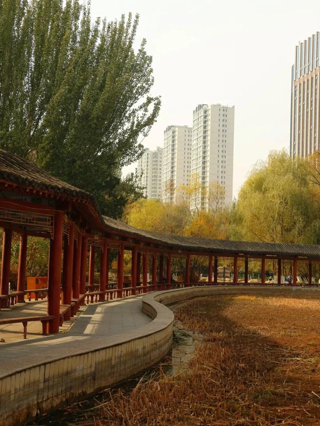 听，呼和浩特秋天的BGM正在你耳边播放