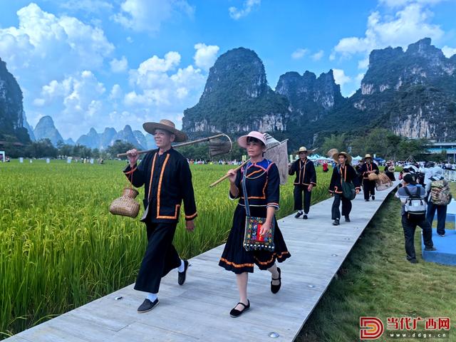 组图｜这个丰收季，美得让人陶醉！