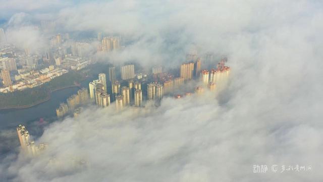 云海漫红果，仙境入画屏