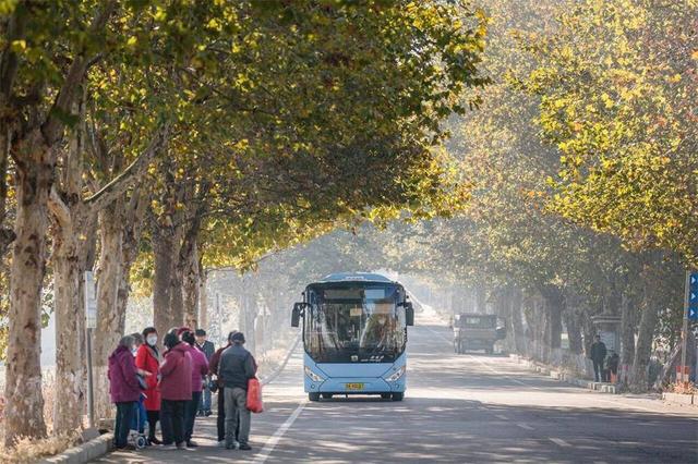 本周六，荣成公交赏天鹅专线启航