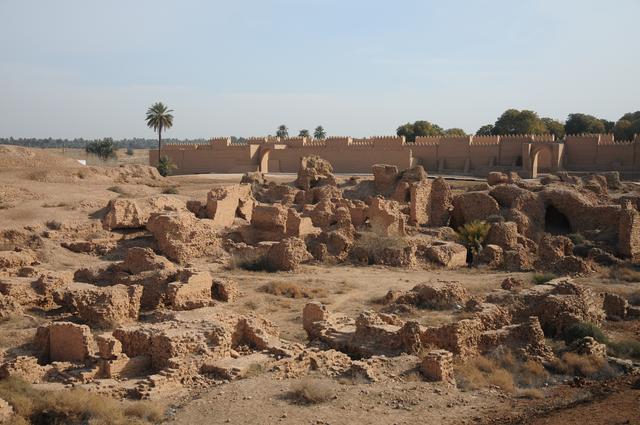 心相近｜中埃携手，书写文明互鉴新佳话