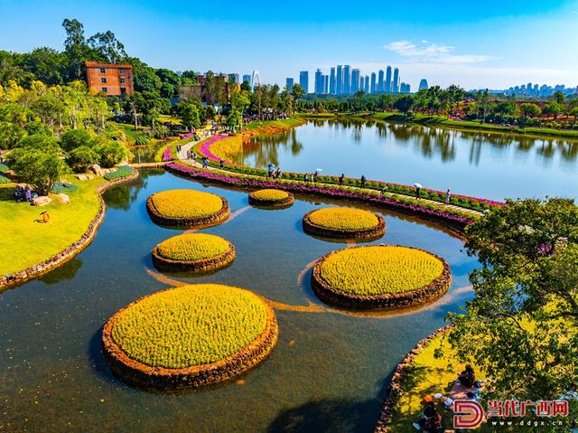 图集｜冬日青山美 游人醉其间