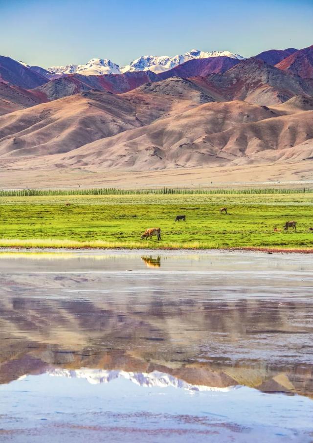 这些地方，把“吃”写成了姓名