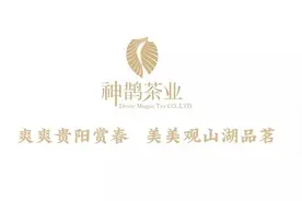 正在开采│观山湖区贵州柏春神鹊茶场图片
