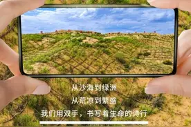 【一日一丰景】沙漠变绿洲 一份对大自然的馈赠图片