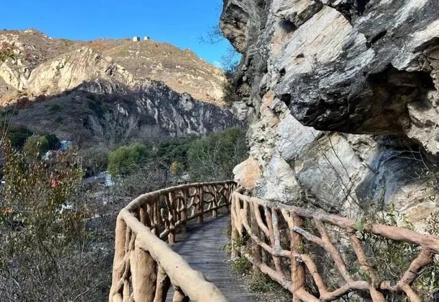 梅花开了！来这条精选的怀柔区郊游线路感受春意盎然