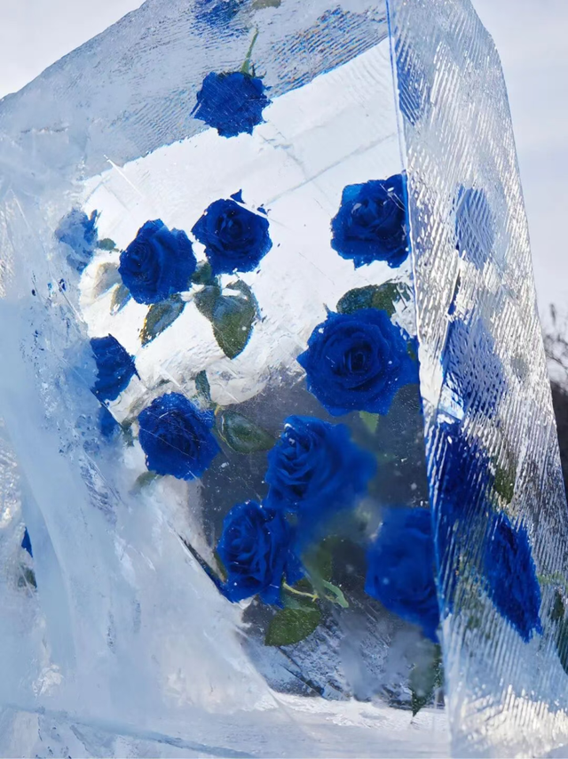 新航线！中国香港直飞长春12月16日通航