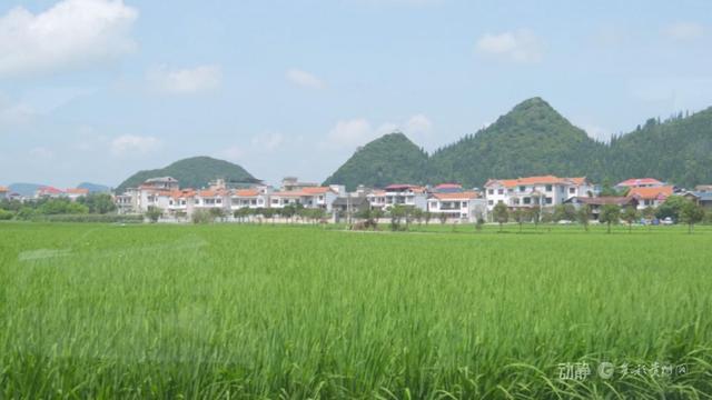 跨省“候鸟”栖居黔山，扇动百亿清凉经济