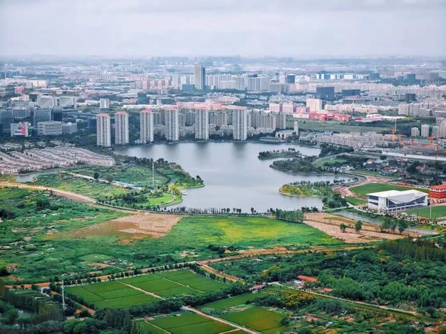 “Cityfly”真的来了！快快，打“飞的”游闵行、游……