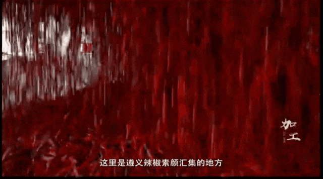 “大美故乡”第12站丨贵州遵义