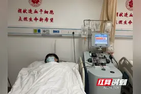 爱心接力！“90后”博士与“00后”青年成功捐献造血干细胞图片
