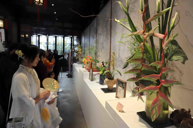 江苏苏州：山水同脉 花开双城