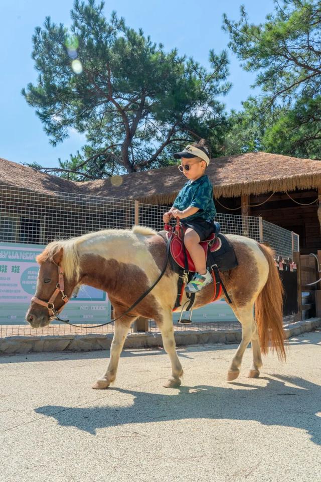 遛娃天花板！千岛湖也太会了！