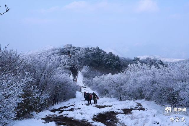 晚潮｜桐杭岗今冬第一场大雪
