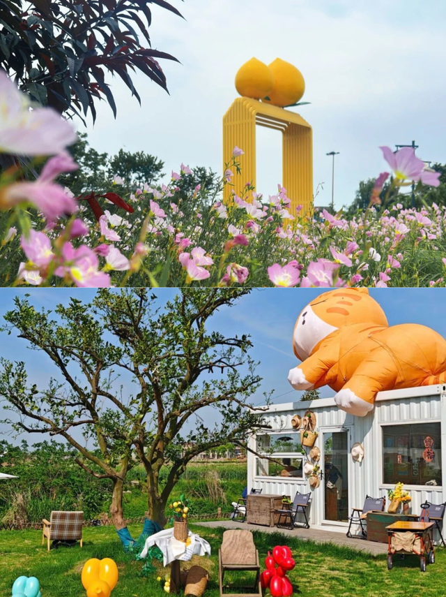 国庆休闲到奉贤｜上海市内1h直达的休闲文艺之旅，不允许你不知道