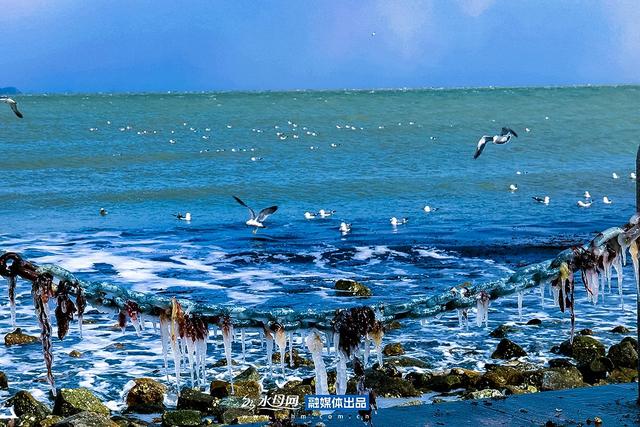 节气里的大美烟台｜小雪篇