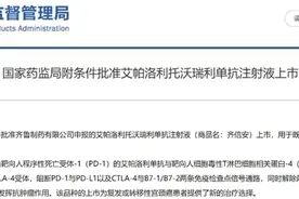 全球首创艾托组合抗体！齐鲁制药重磅1类新药获批上市，有望带来抗癌新突破图片
