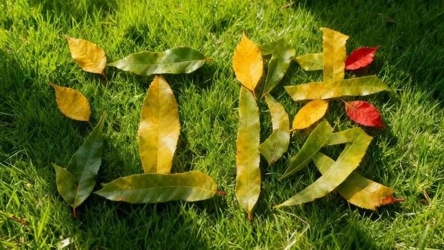 别宅啦！去江陵的街头“捡秋”吧