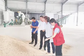 博兴县：“一站式服务” 助力种业公司高效办证图片