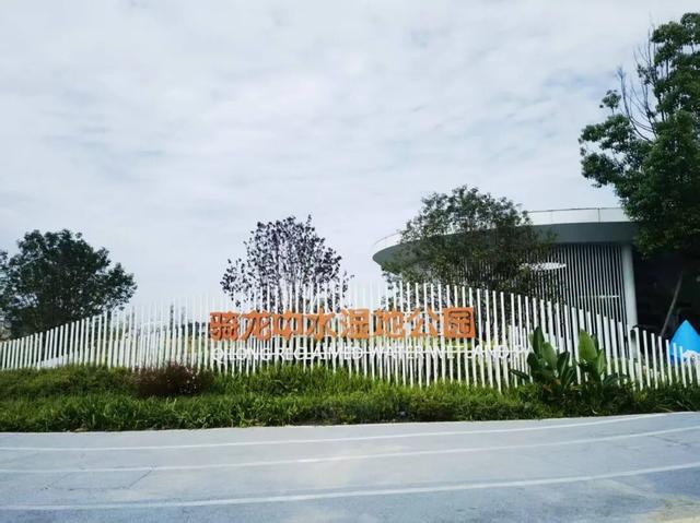 每天8.5万吨洗脚水冲厕水，竟都流向了这个网红公园？