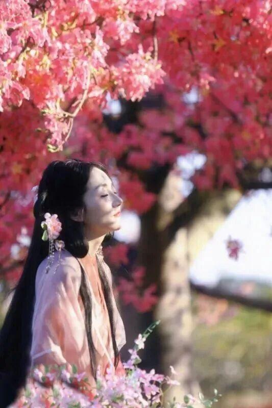 新晋打卡点！泉州市区这些限定“花海”全都美翻了……