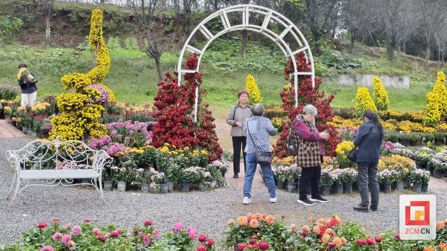 贡井区打造中医药健康旅游示范基地 推动文旅融合创新发展