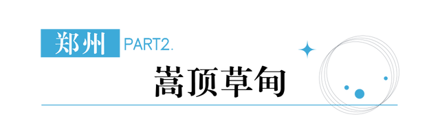 在秋冬的诗行里，尽赏“芦花飞雪”落中原！