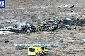 阿航客机坠毁原因或为与鸟群相撞 “飞鸟撞机”有多致命？专家分析→图片